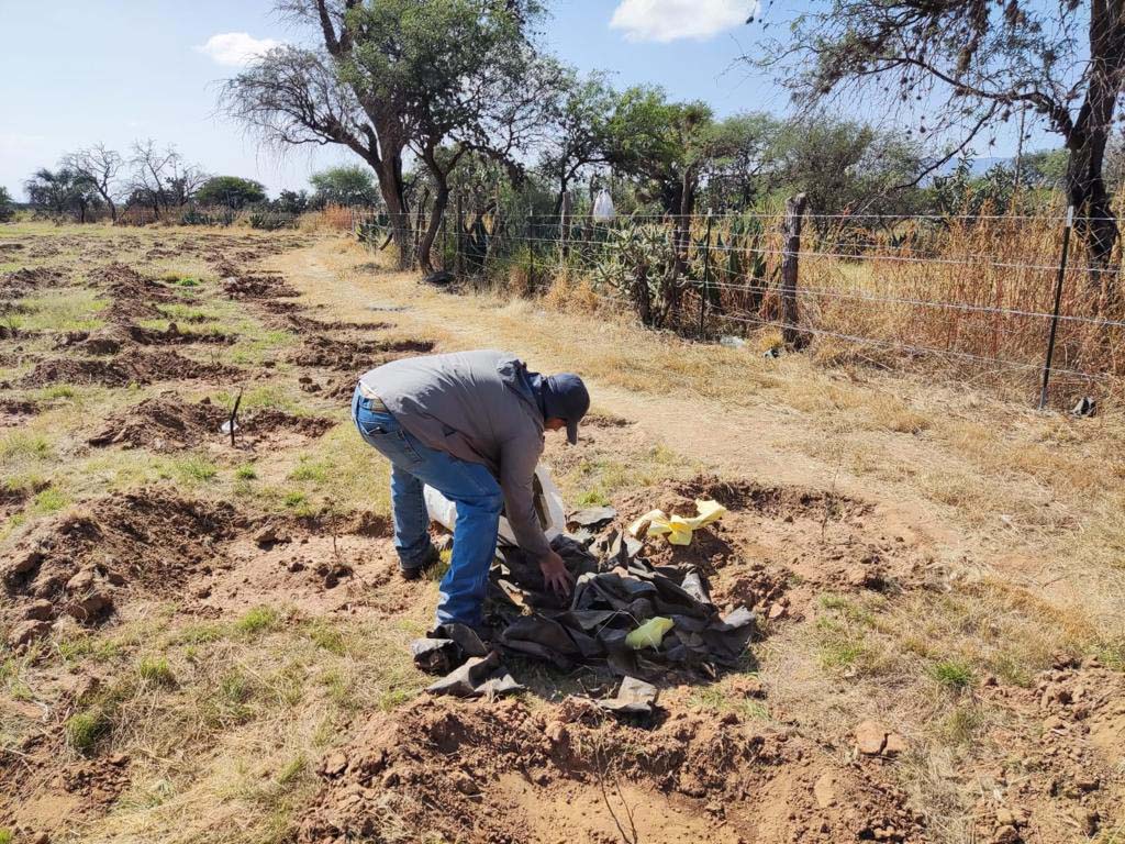 PRAMSEI: Proyectos ambientales en etapas constructivas y operativas (65)